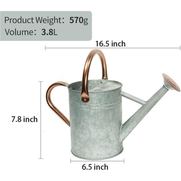 One Gallon Watering Cans Stainless Steel for Plants Watering (Zinc 1 Gallon) - Picture 3 of 7